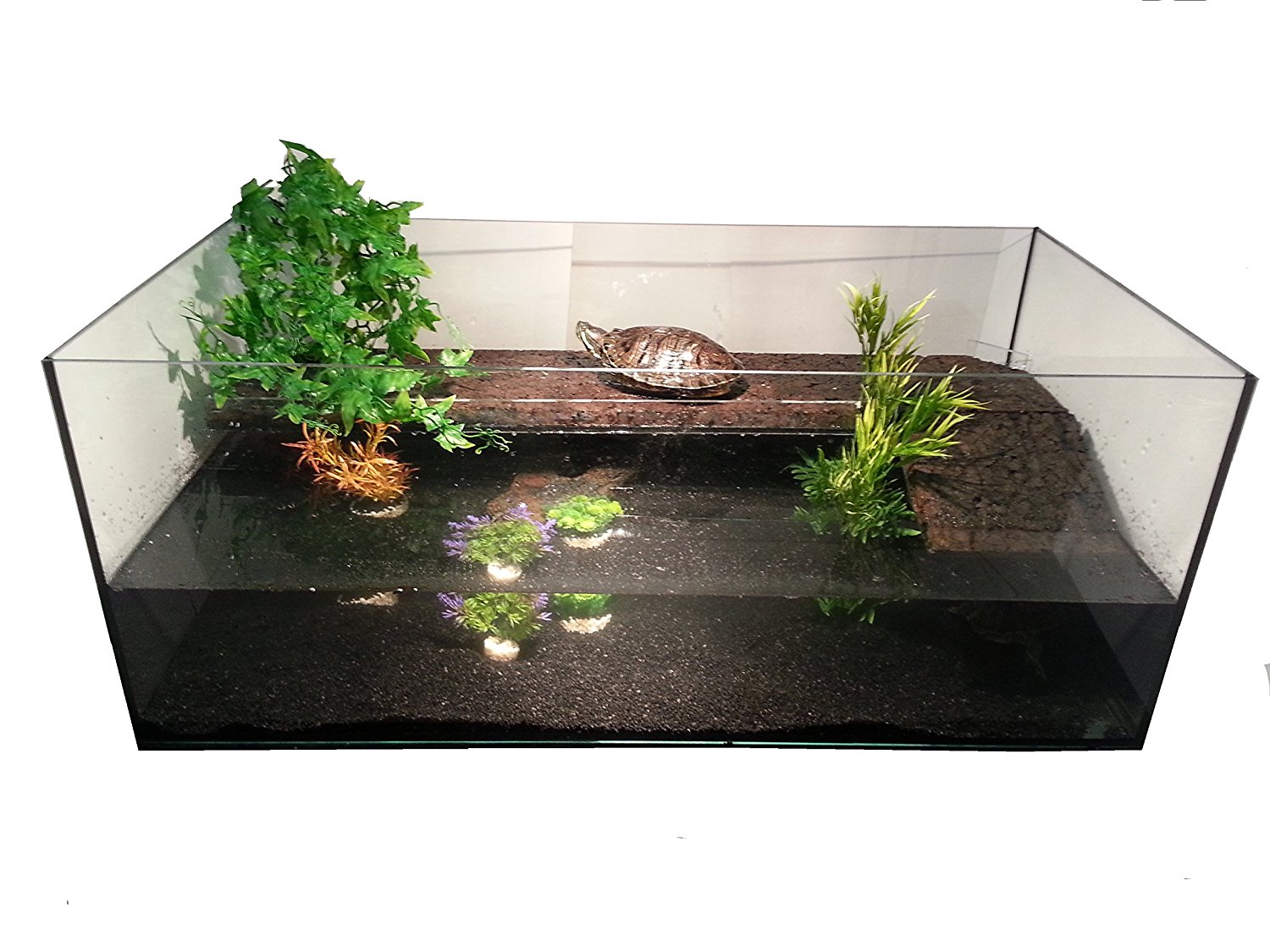 Terrarium Wahl TopTerrariumkaufen.de
