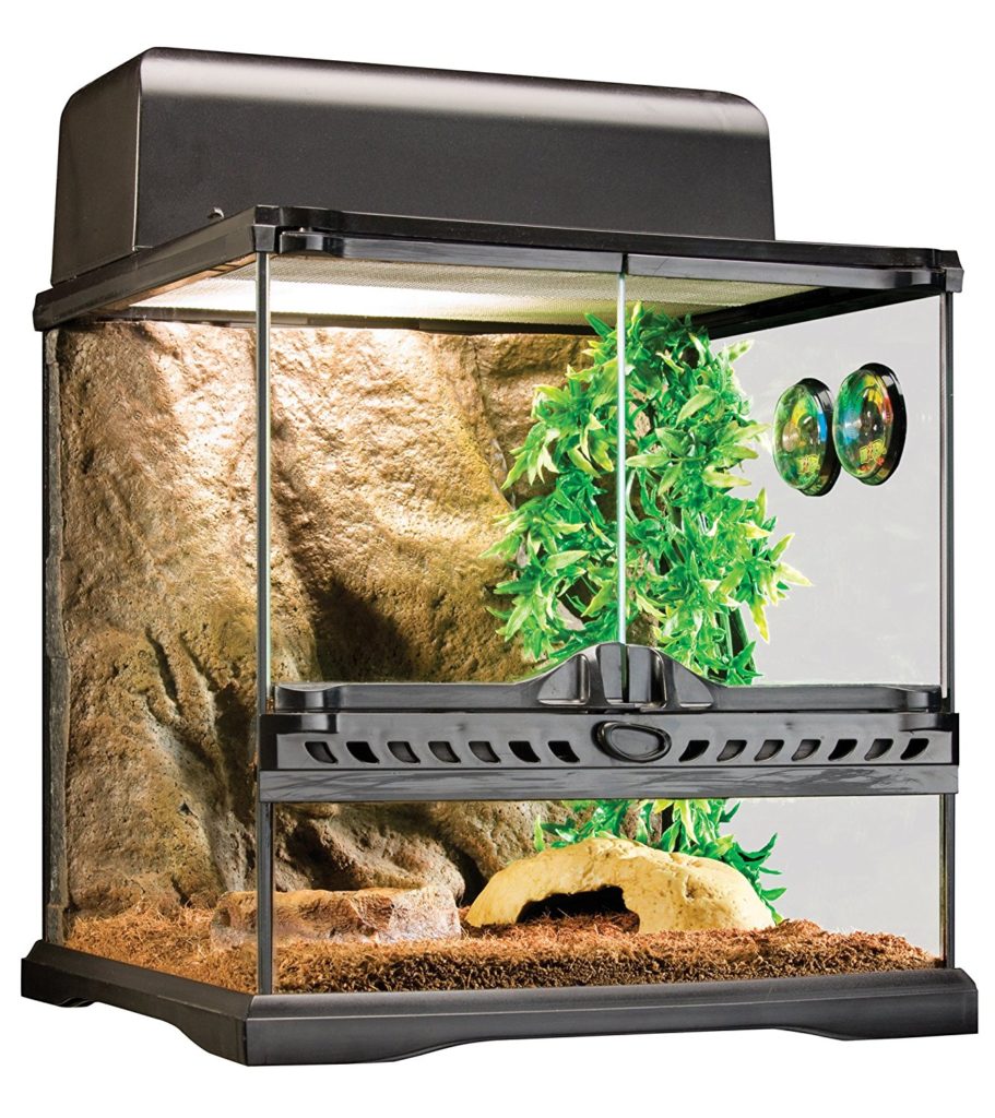 Terrarium Wahl TopTerrariumkaufen.de